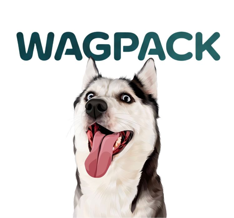 WagPack BBQ Treat Box - 28 All Natural Treats! 